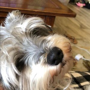 Meet your Posher, Lynda